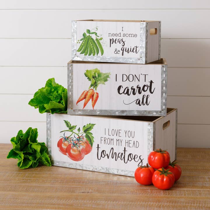 Punny Vegetable Crates (Set Of 03) for wholesale by Audrey's Home & Gift