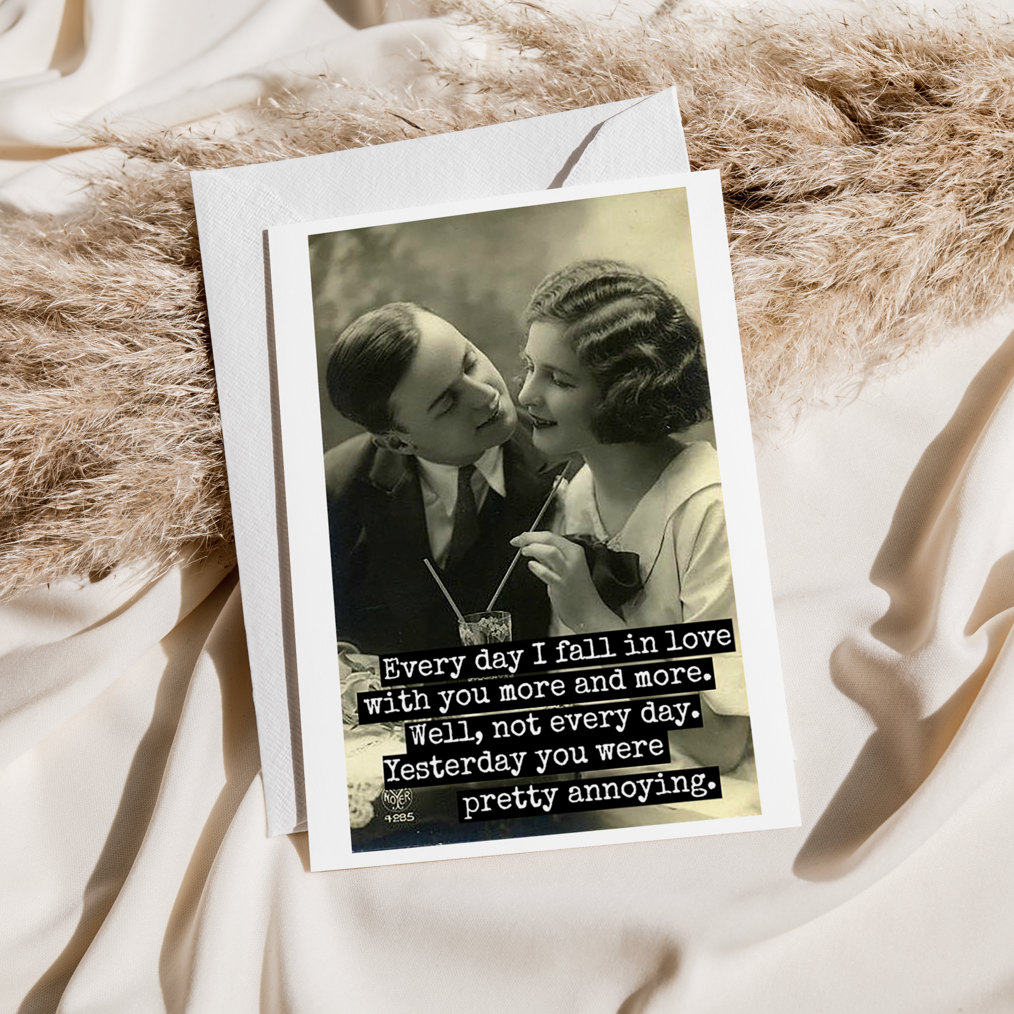 Raven's Rest Studio - Wholesale Love Card - Funny Greeting Card. Every Day I Fall In Love With You...1