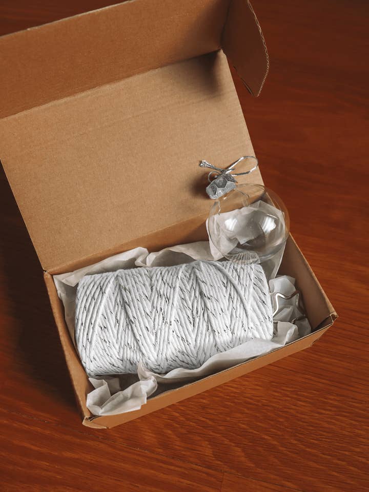 Zilveren Kerst DIY-kit - Editie 2021 voor wholesale door Zaumi Loop