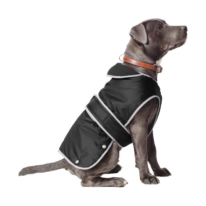 Casaco Stormguard All weather: Preto por atacado de Ancol Pet Products Ltd