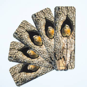 Wren - Wholesale Bookmark - Bluebird bookmark2