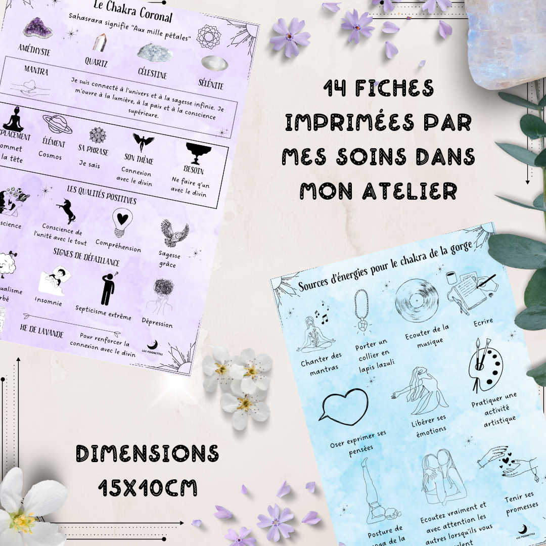 Les Moonettes - Wholesale Stationery/Notecard Set - 12 chakra and lithotherapy cards Les Moonettes + pouch3