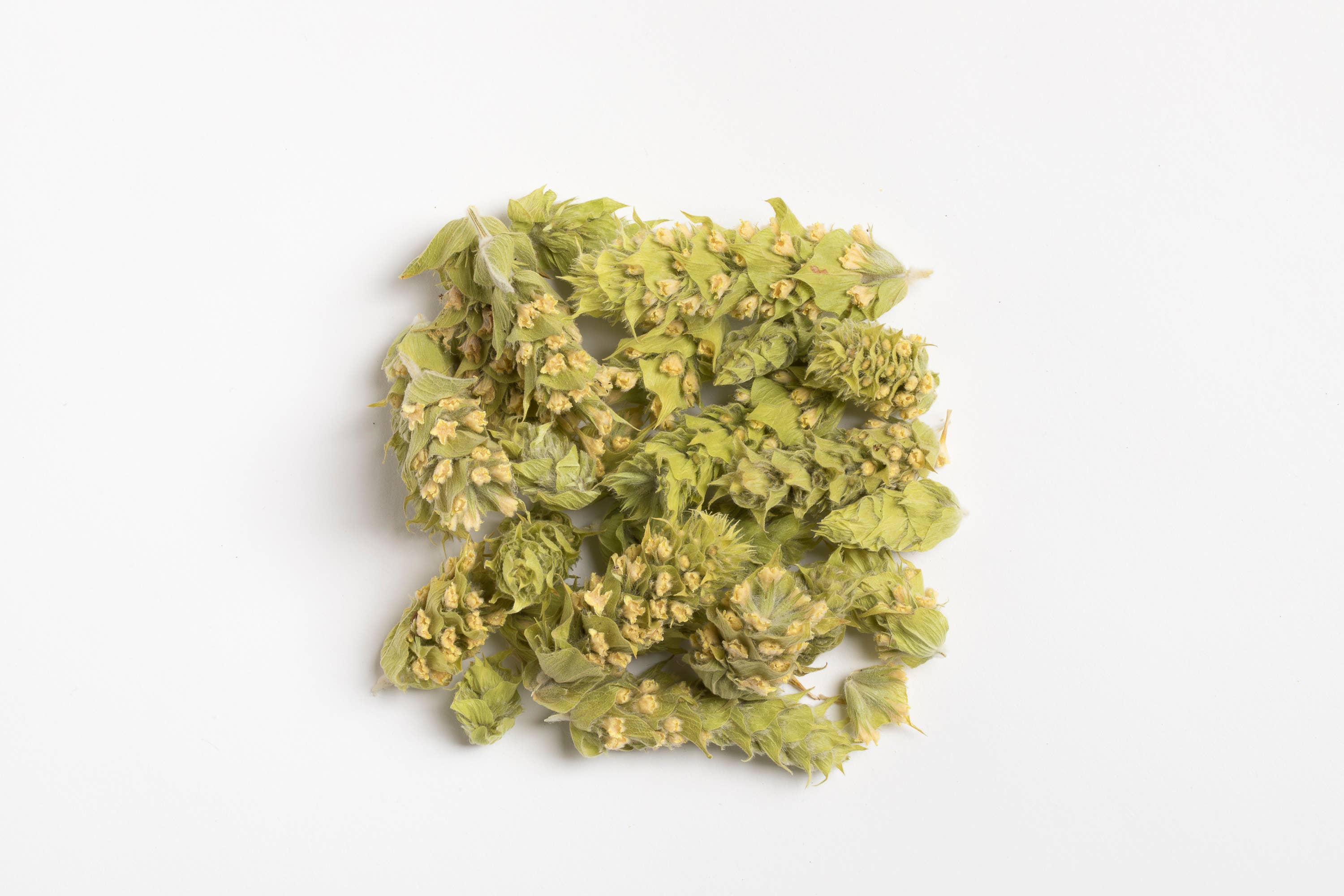 Anthea Organics - Wholesale Tea Bags - Organic Greek Mountain Tea Plastic Free Tea Bags2