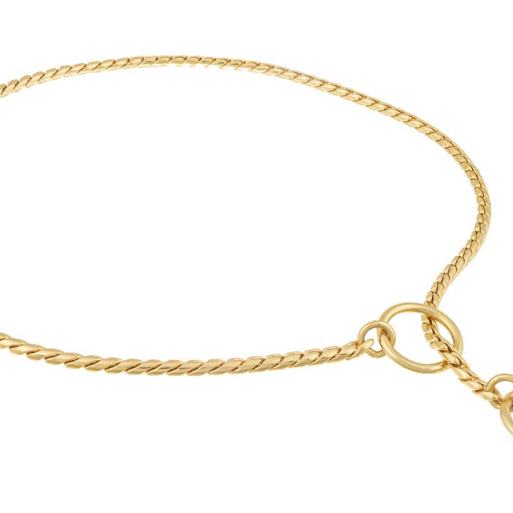 Alvalley – wholesale Halsband - Hund – Slip snake kedjehalsband för hund13