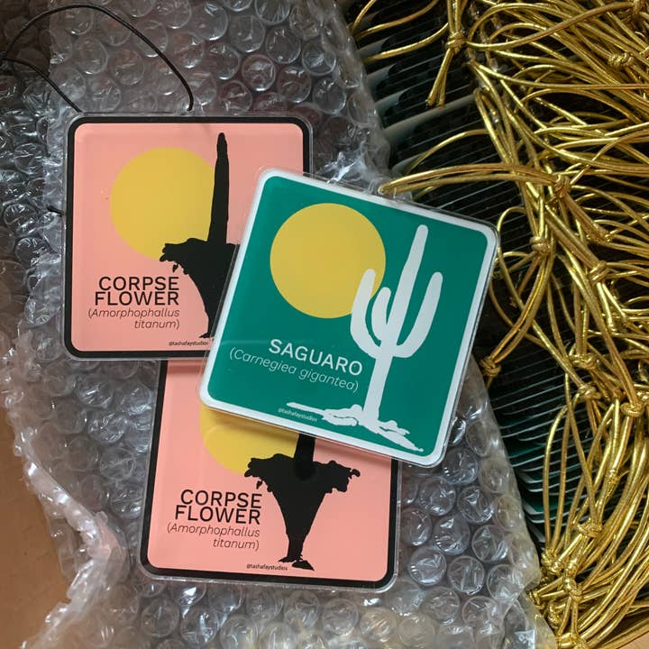 Tasha Fay - Wholesale Ornament - 3" Spanish Dagger Acrylic Ornament1