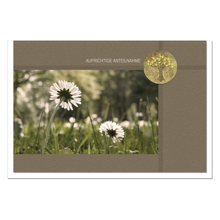 metALUm kondolencekort B6 med 3D-pynt – Motiv: Tusindfryd i sollys – Oprigtig medfølelse for engroshandel hos metALUm