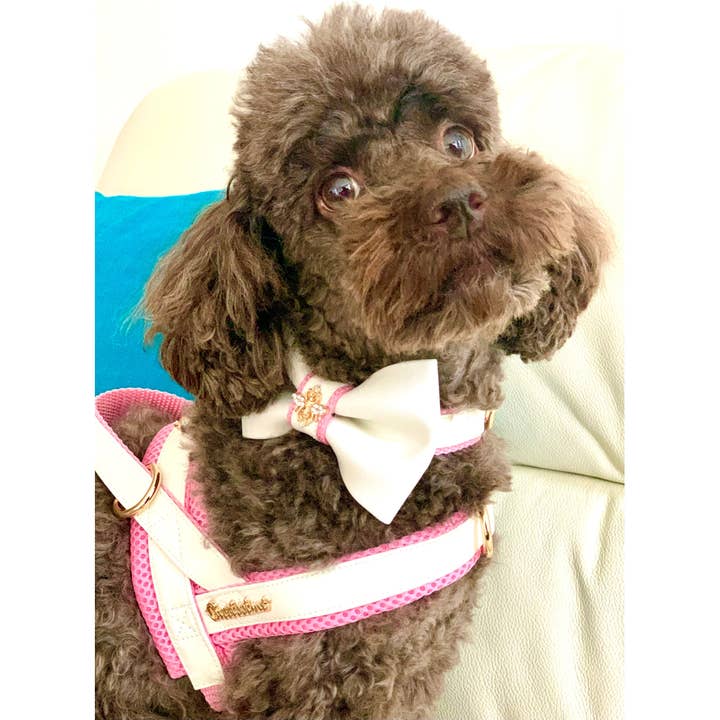 Puccissimé Pet Couture - Wholesale Pet Harness - Dog - My baby girl One-click dog harness