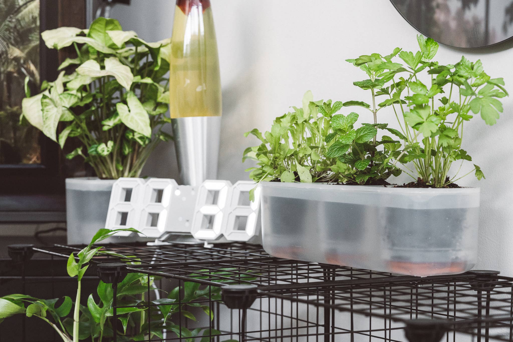 Boskke - Vente Pot - Till Planter - Triple - pot de fleurs auto-arrosage5