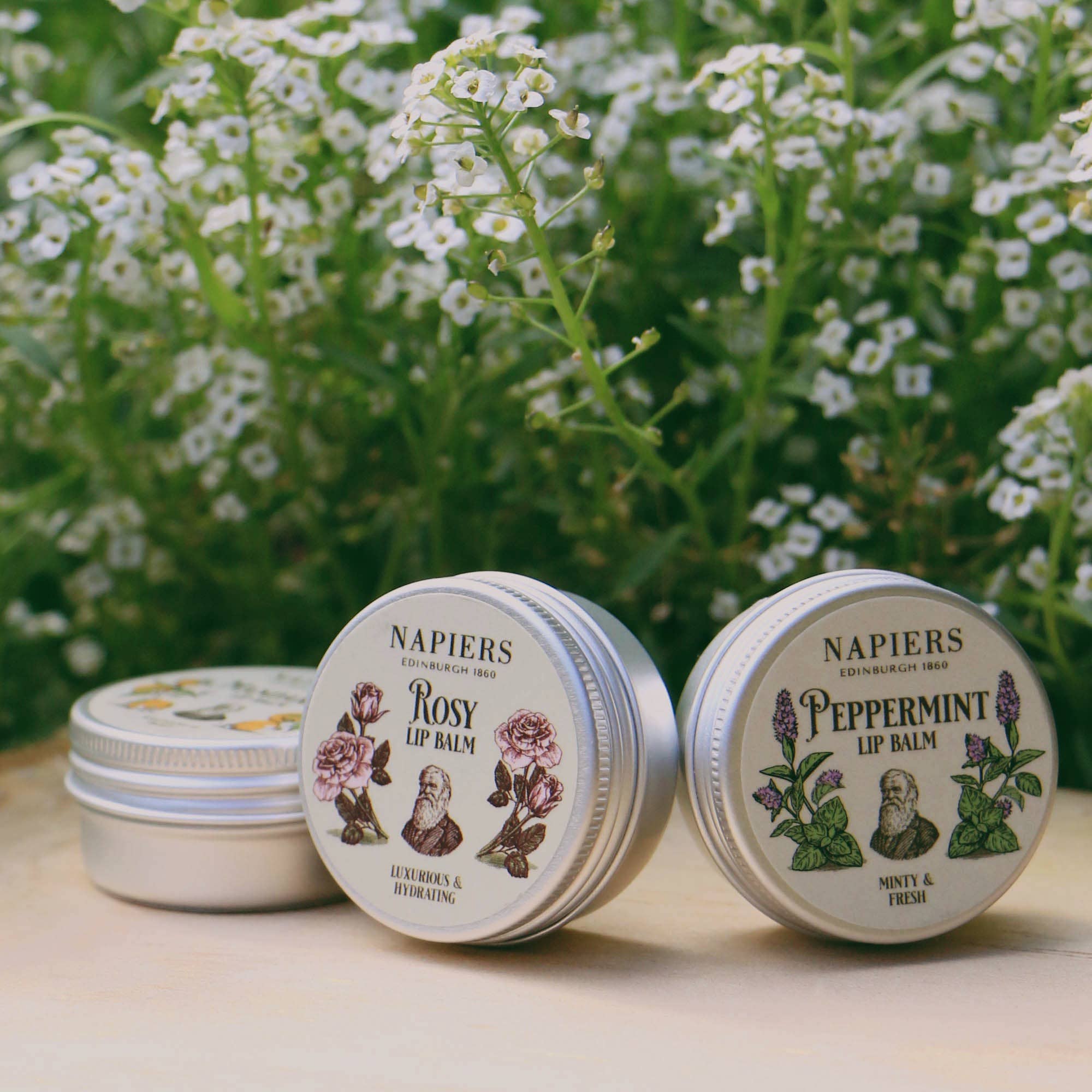 Napiers – Großhandel Lippenbalsam – Napiers Rosy Rose Lippenbalsam3