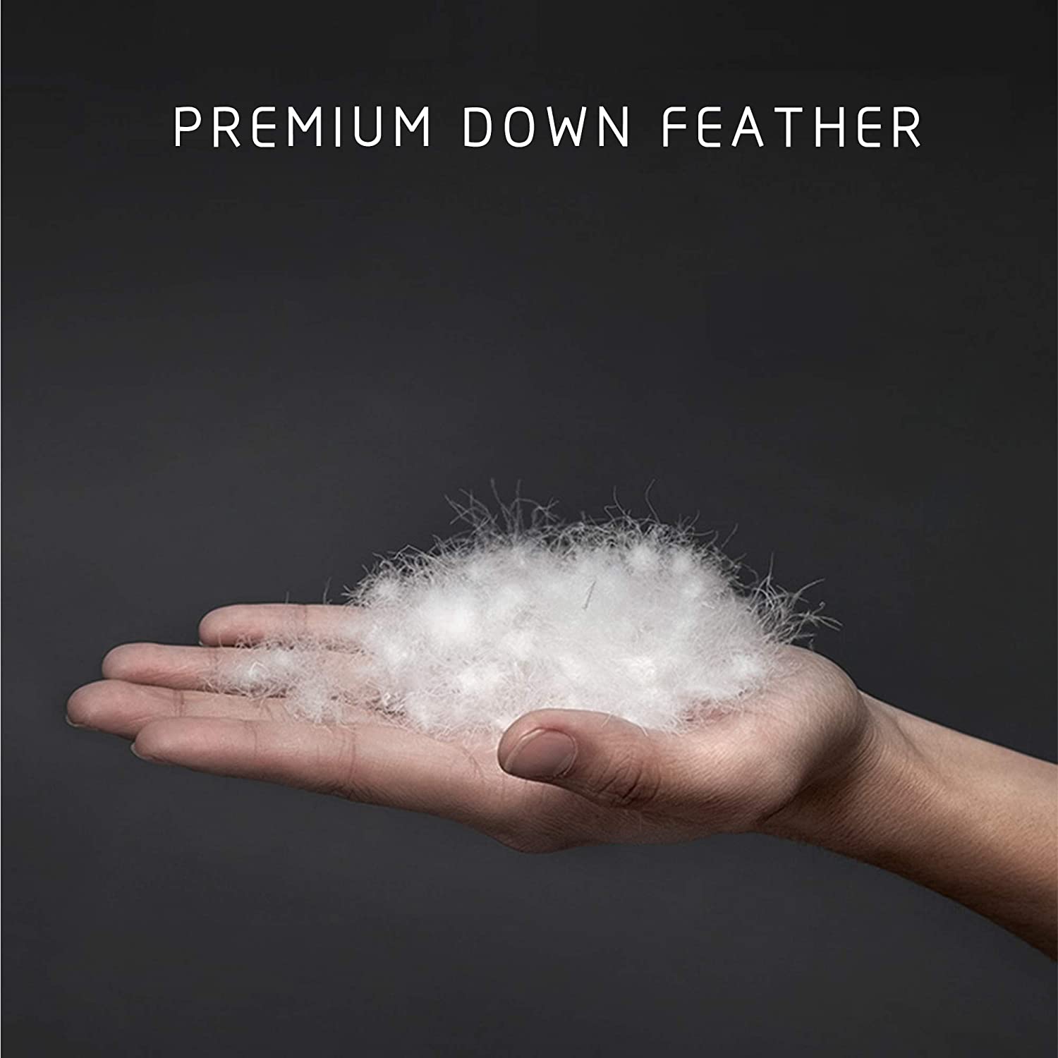 Kasentex - Wholesale Down Comforter - 700 Fill Power Comforter Down & Feather All Season3