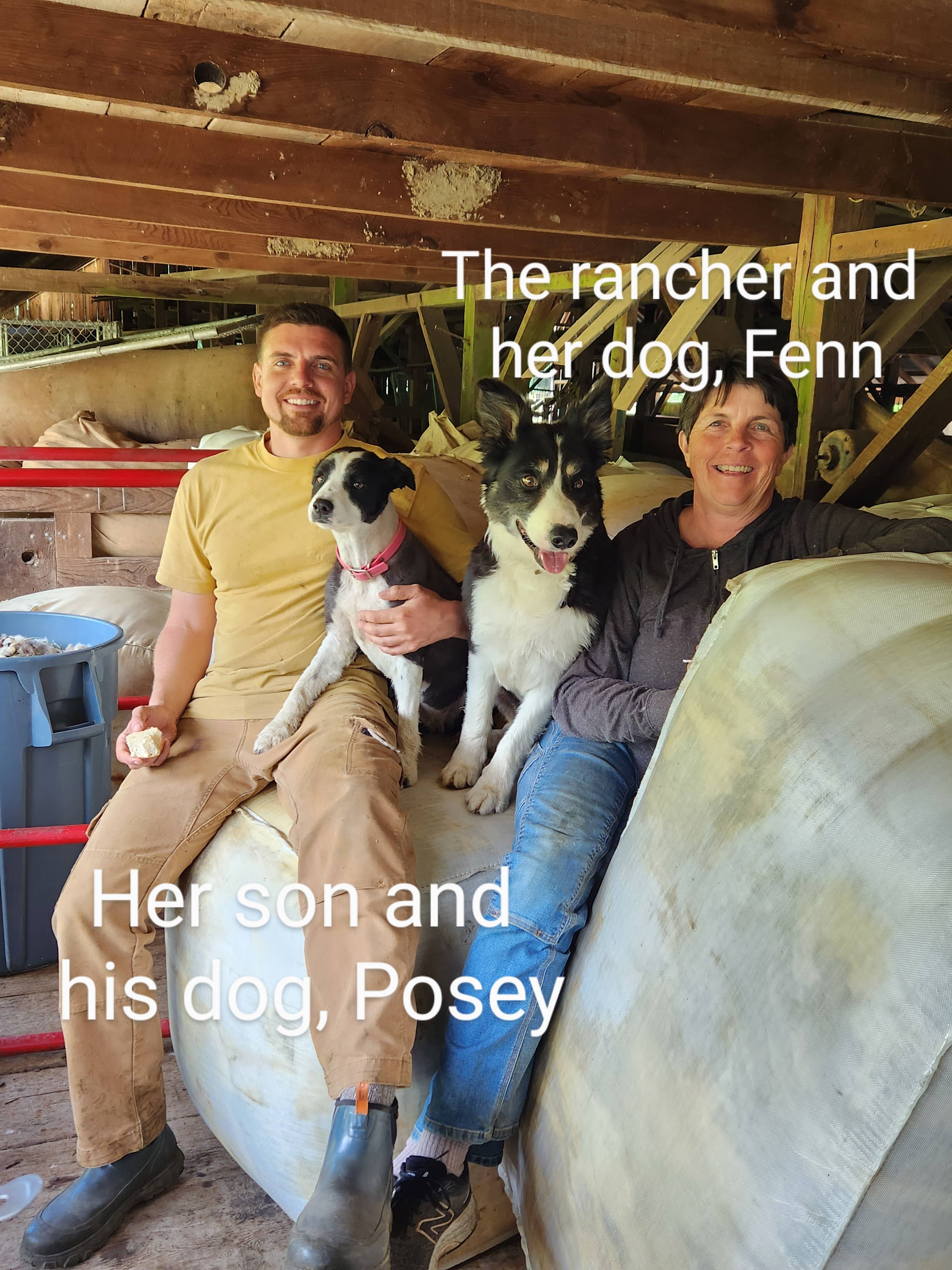 Full Circle Wool - Wholesale Dishcloth - Wool Dish Sponges ~ Climate Beneficial™ (case of 12 units)6