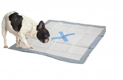 King Wholesale Pet Goods - Wholesale Pet Pee Pad - Dog - X MARKS The Spot Puppy Pads 100pk