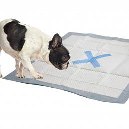 King Wholesale Pet Goods - Wholesale Pet Pee Pad - Dog - X MARKS The Spot Puppy Pads 100pk0