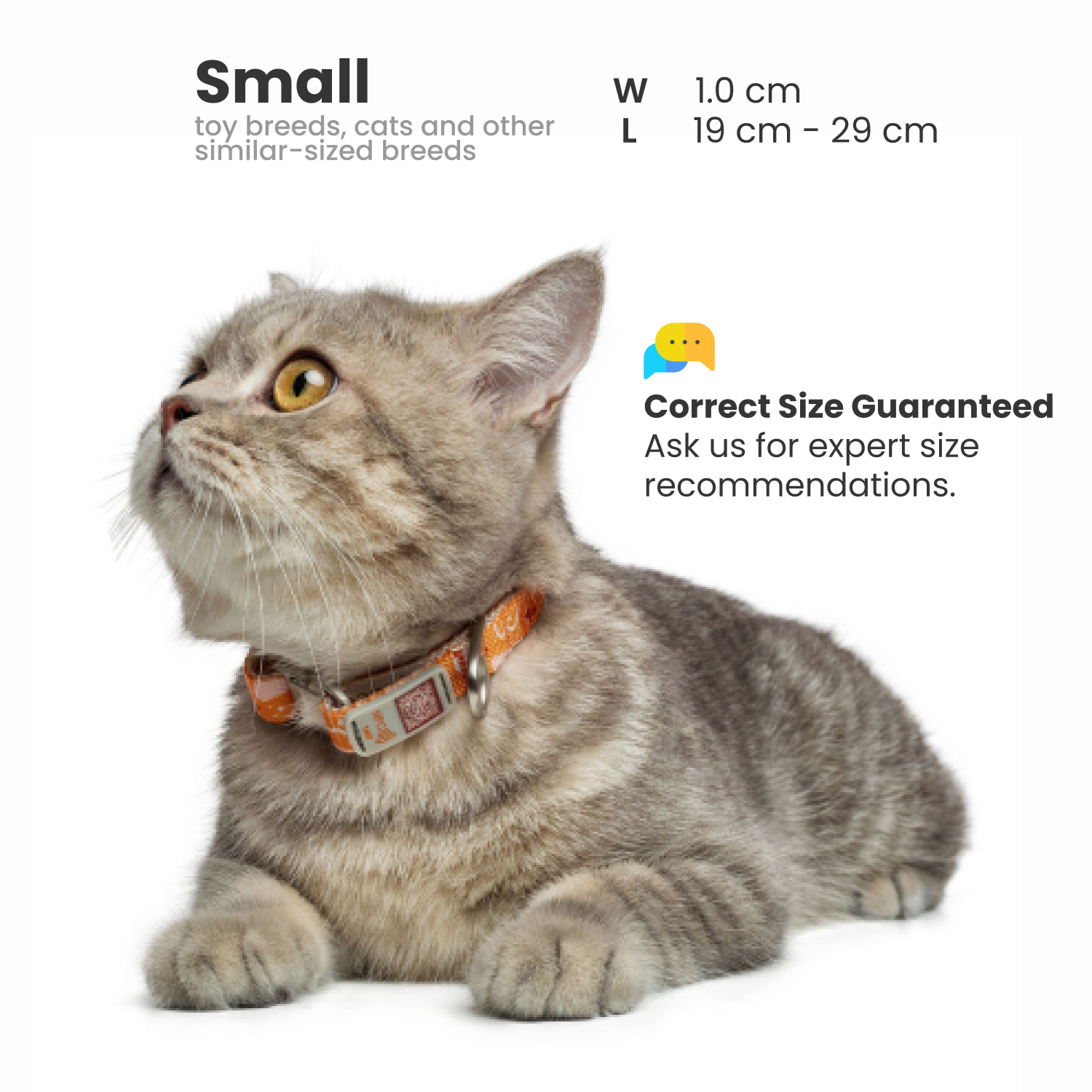 Pawnec - Wholesale Pet Collar - Cat/Dog - NeoCollar5