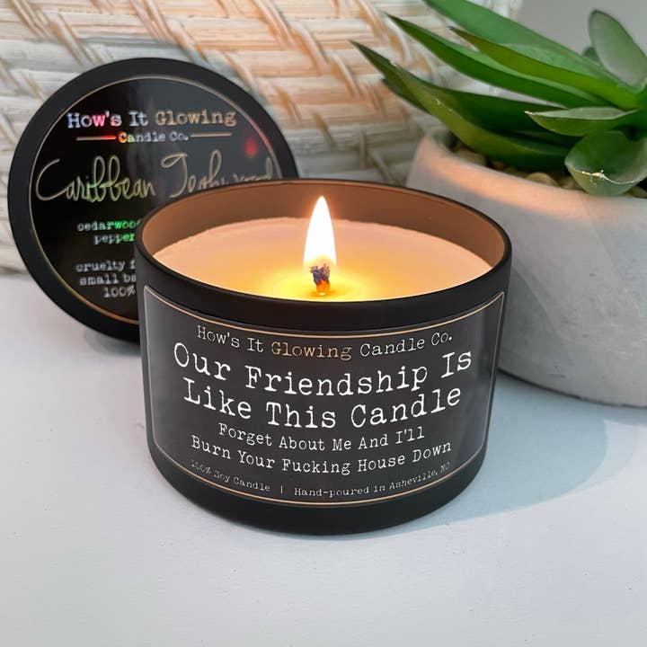 How's It Glowing Candle Co. - Wholesale Travel Candles - Our Friendship Is Like This Candle... | Fun 100% Soy Candle