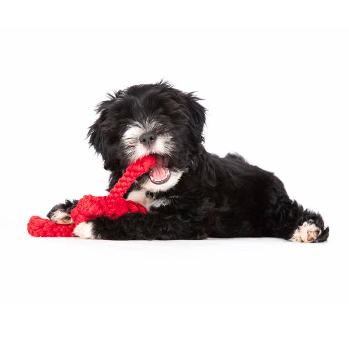 LABONI - Volentis GmbH - Vendita all'ingrosso Giocattolo di corda - Cani - Hugo Hummer12