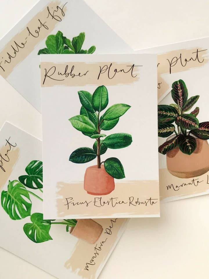 Rubber Plant House Plant Postcard for wholesale by Sunshine for Breakfast