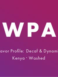 Lowpass 5 lb for engroshandel hos New Wave Coffee Roasters