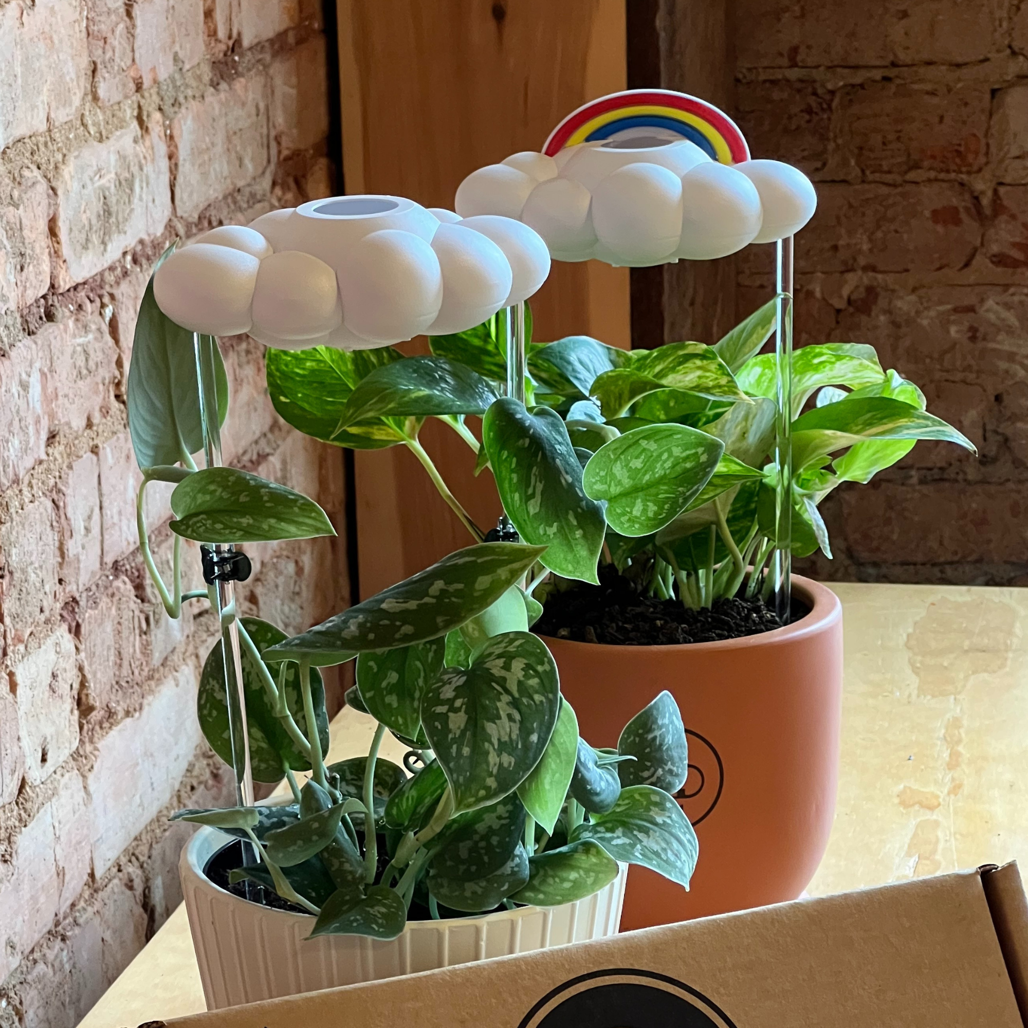 The Cloud Makers - Vendita all'ingrosso Annaffiatoi - Pacchetto Cloud Boutique originale con pacchetto di ciondoli1