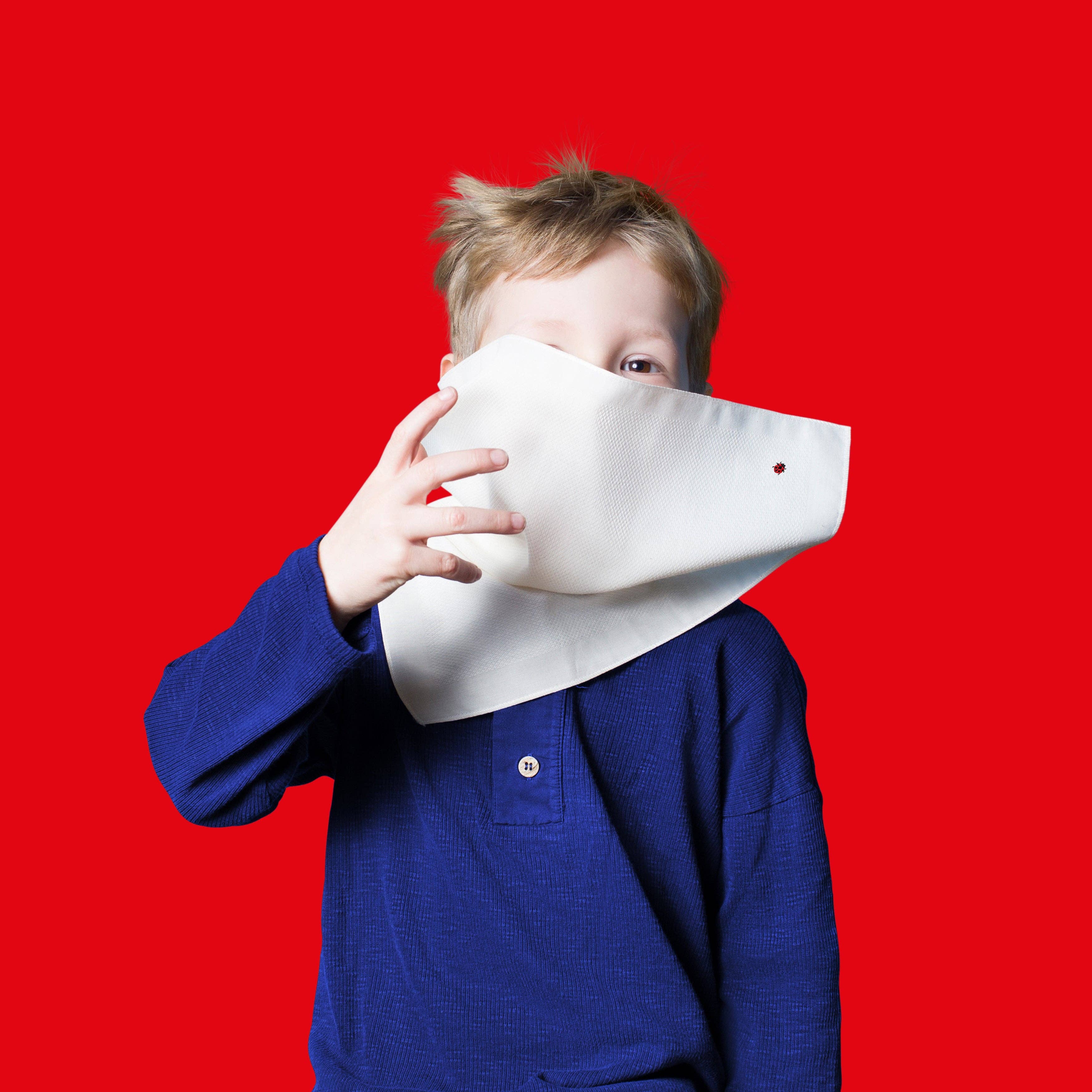 Hanky Gang - Wholesale Handkerchief - Unisex - Organic Hanky That Plants a Tree with 🐞 Ladybug Embroidery1