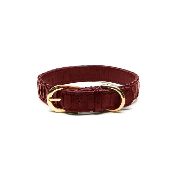 Python Dog Collar for wholesale by Profligate