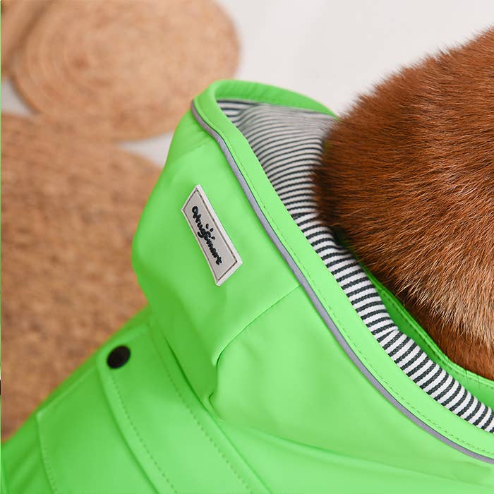 Hugsmart Products Inc – Großhandel Haustier-Regenmantel – Hund – HugSmart Pet - Regenmantel | Lizard6