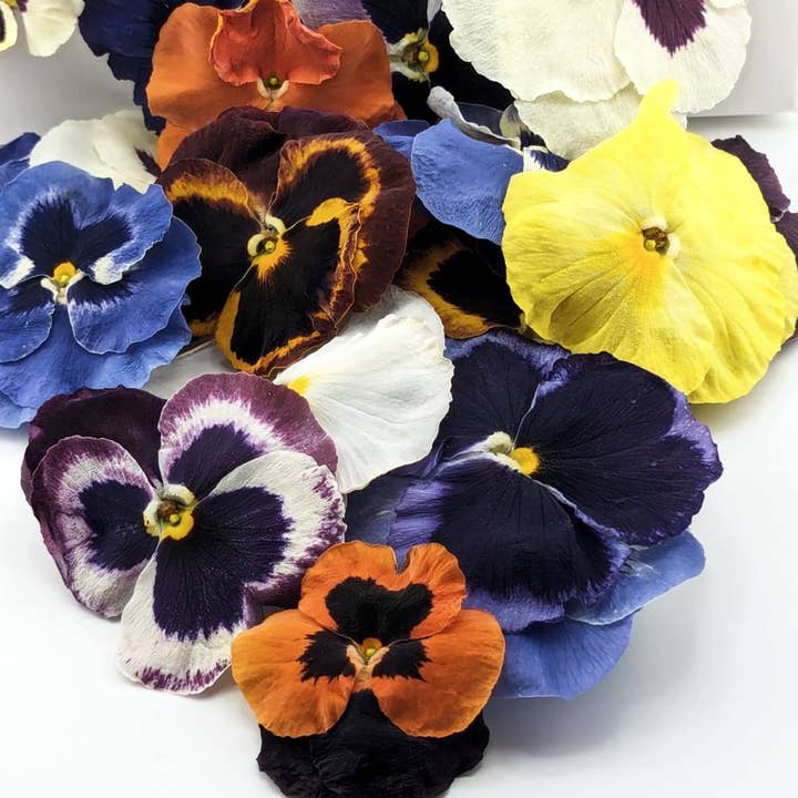 Freshly Preserved - Wholesale Cake/Cupcake Topper - Freeze-dried Edible Pansies