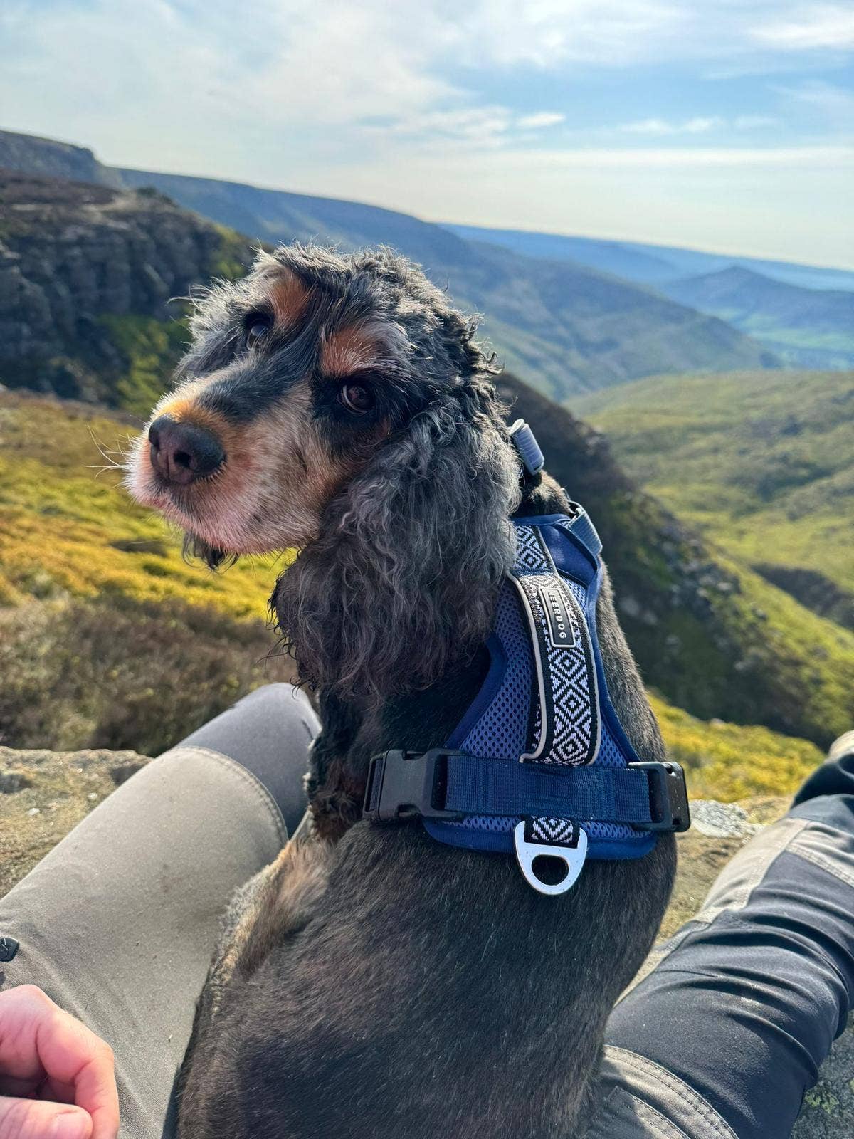 Air-Flow Harness - Dusk Blue for wholesale on Faire2