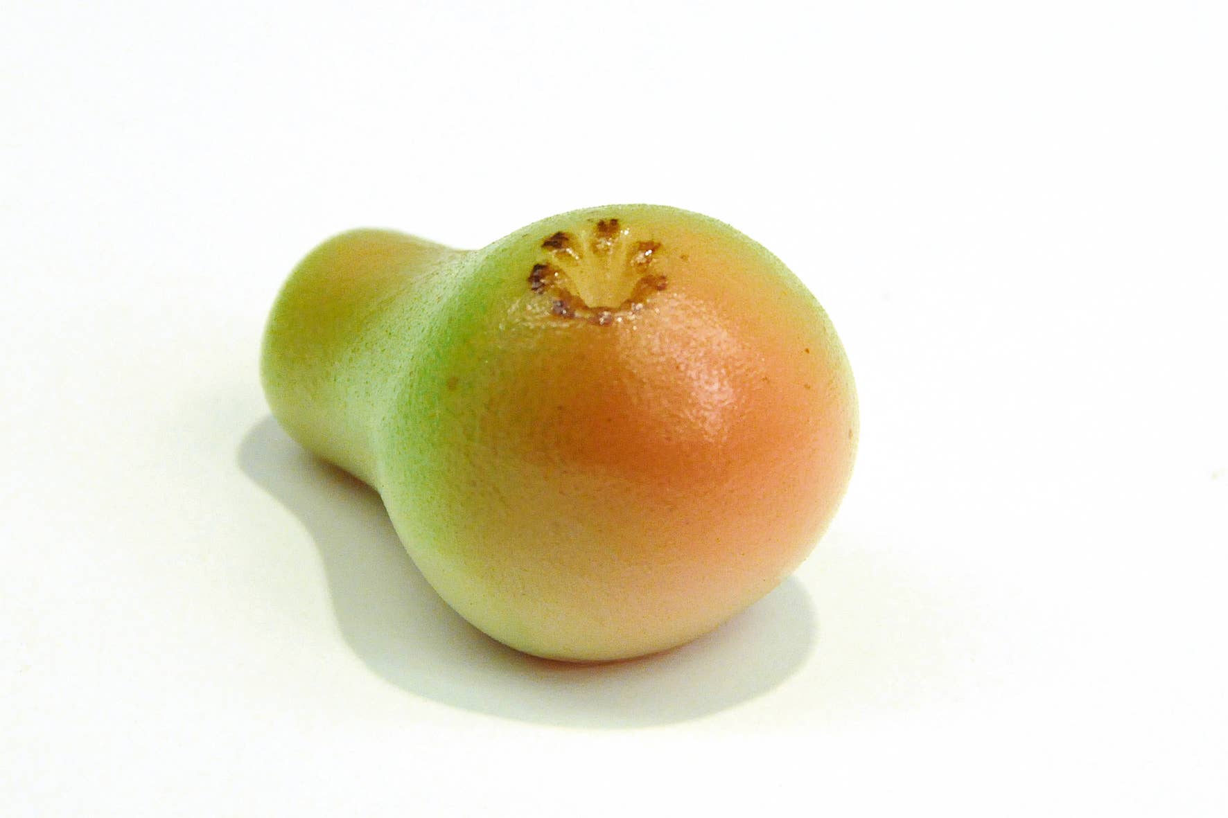 Belgium's Chocolate Source - Vente Friandises enrobées de chocolat - Massepain aux fruits en vrac Nirvana - Caisse en vrac de 74 pièces - 8 variétés.4