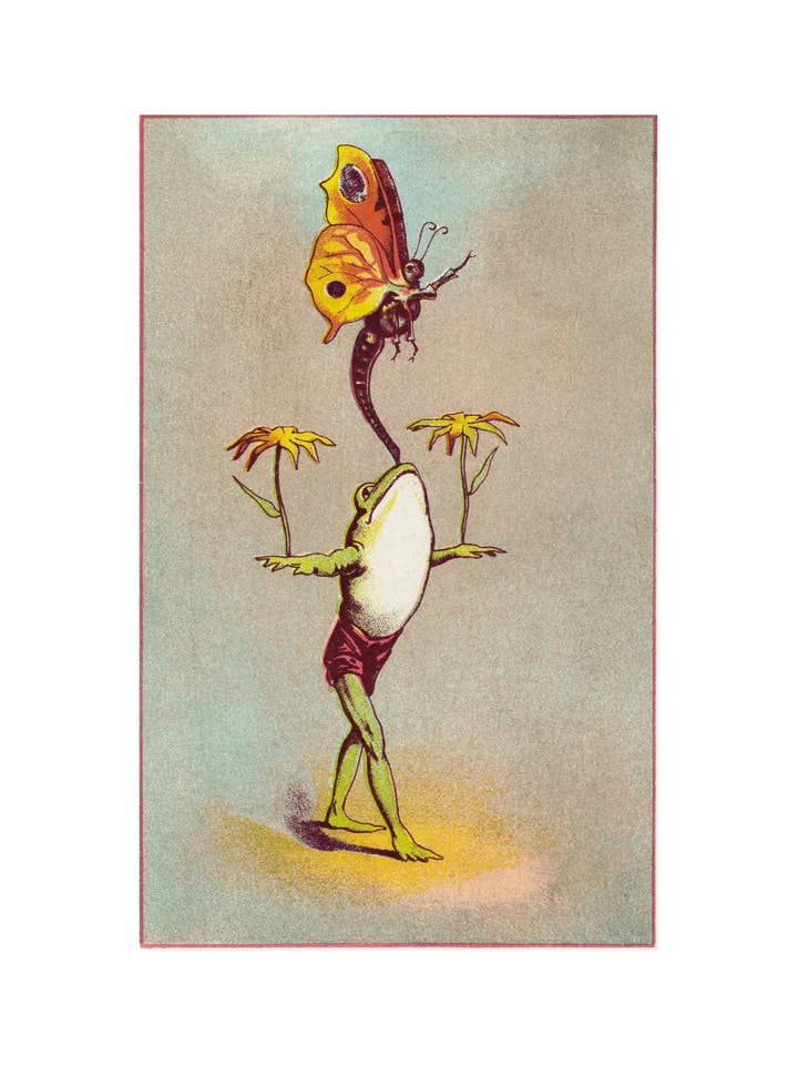 Acrobazie per la vendita all'ingrosso da parte di Sweet Tree Cards