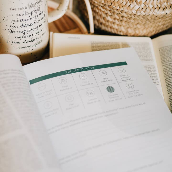 The Daily Grace Co - Wholesale Religion - Journey to Freedom | The Life of Moses2