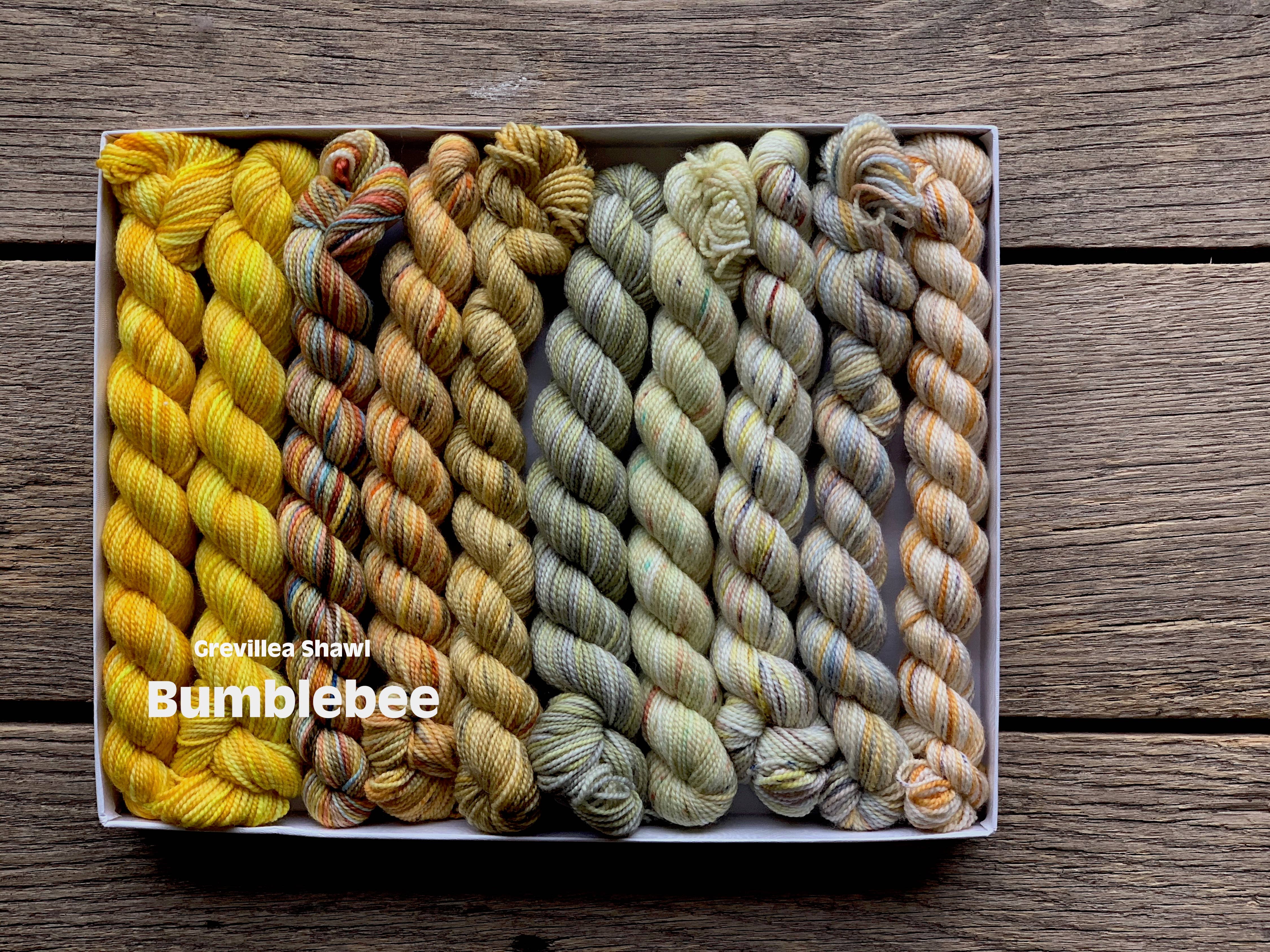 Koigu Wool Designs - Vente Fils à tricoter - Coffret de laine Koigu Pencil Box groupe 147