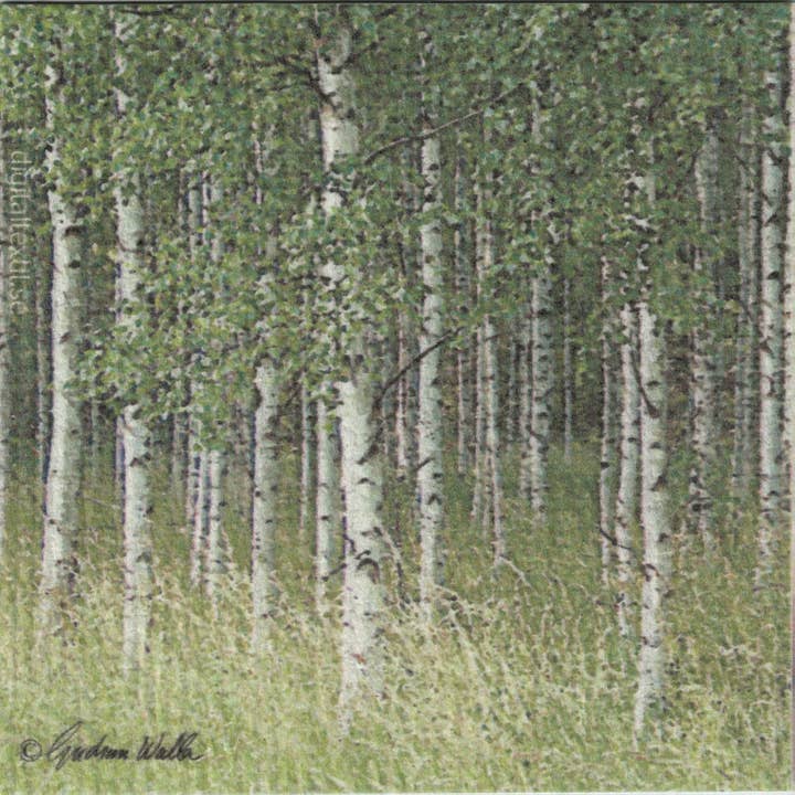 Swedish Dishcloth - Birch Trees for wholesale by Scandinavian Specialties