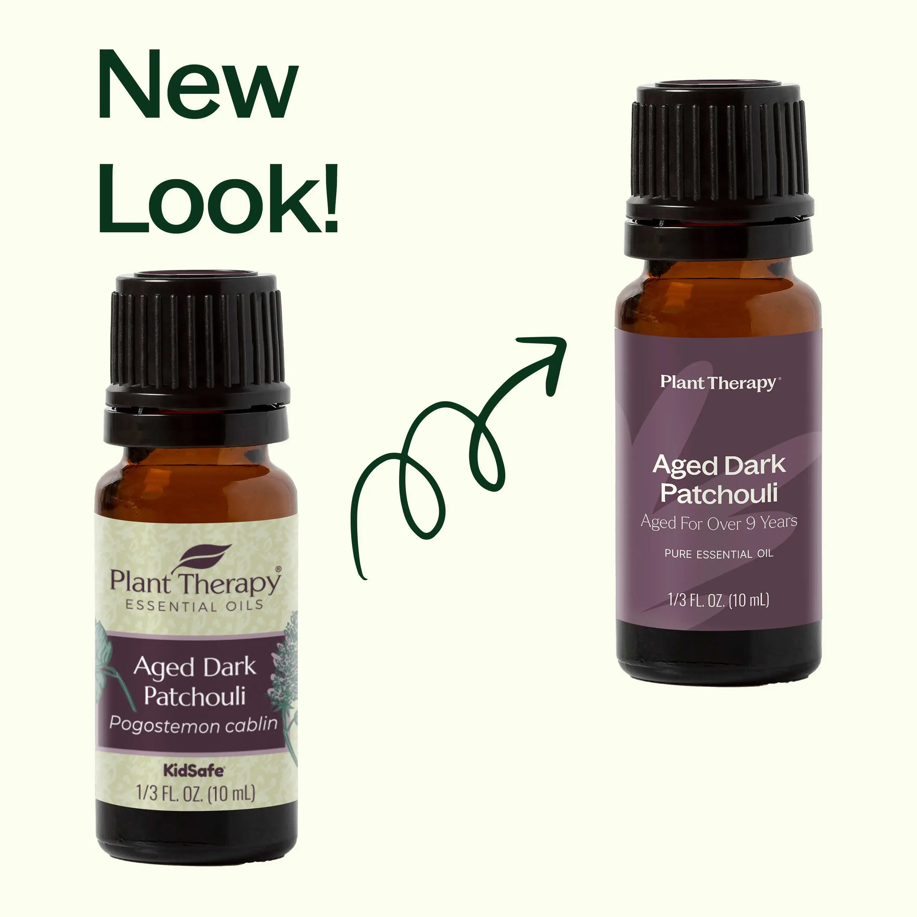 Plant Therapy - Wholesale Essential Oil - Aged Dark Patchouli Essential Oil 10 mL3