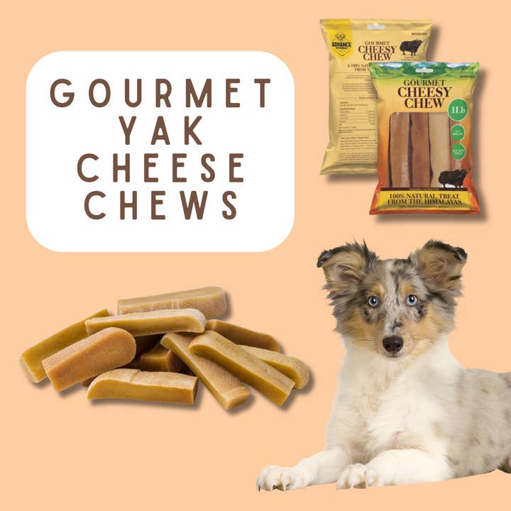 Gourmet YAK Cheese Chews! Made from Grass Fed, ecologically and other Purchase Wholesale made in products. Free Returns & Net 60 Terms on Faire trending on Faire.