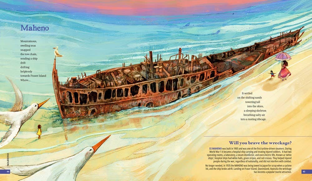 W. W. Norton - Wholesale History & Geography - Shipwreck6