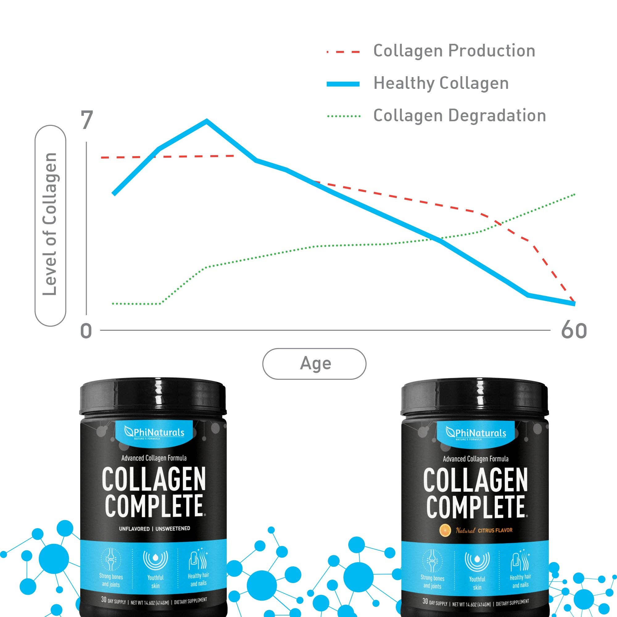 Excel Nutritionals LLC DBA Phi Naturals - Wholesale Protein/Superfood Powder - Collagen Complete Powder Unflavored9