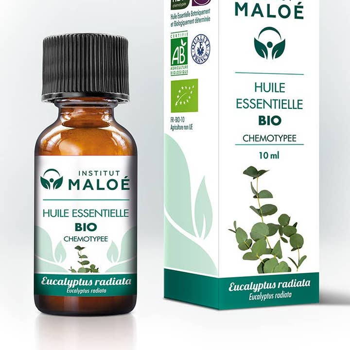 Institut Maloé - Wholesale Essential Oil - Organic Eucalyptus Radiata Essential Oil - 10 mL0