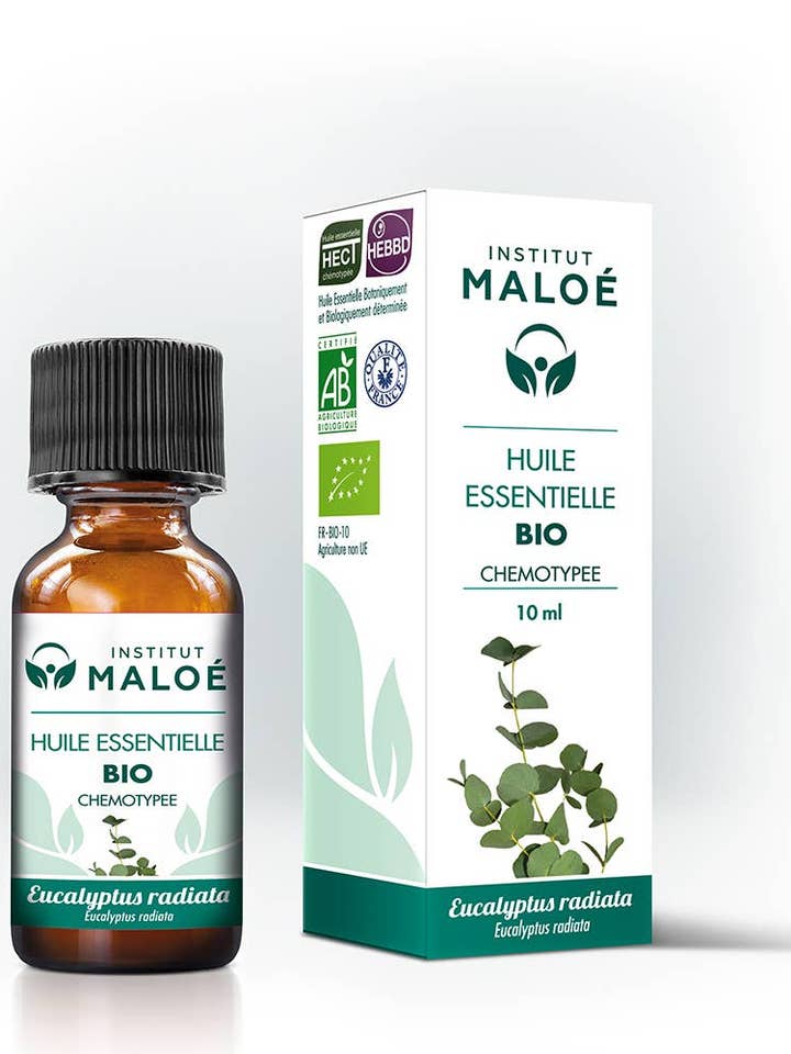 Organic Eucalyptus Radiata Essential Oil - 10 mL for wholesale by Institut Maloé
