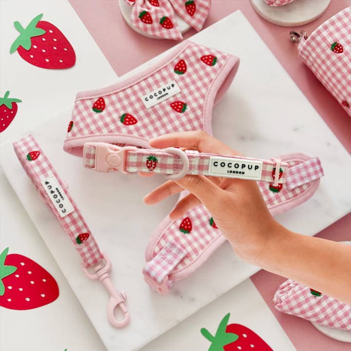 Strawberry Picnic Pup COLLAR for wholesale by Cocopup London