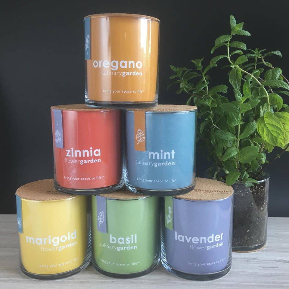 Potting Shed Creations, Ltd. - Wholesale Plant Seeds - Essential Basil Culinary Garden |Valentine • Easter • Spring7