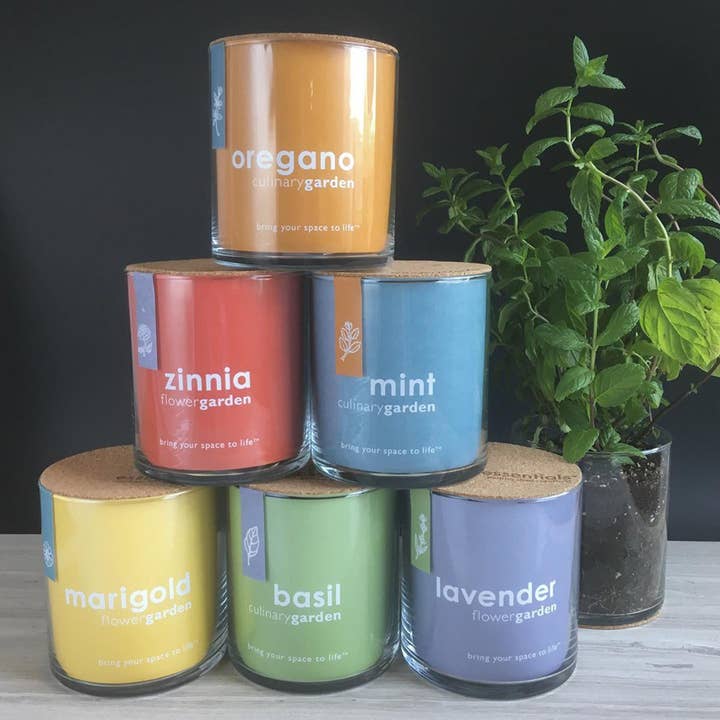 Potting Shed Creations, Ltd. - Wholesale Plant Seeds - Essential Basil Culinary Garden |Valentine • Easter • Spring7