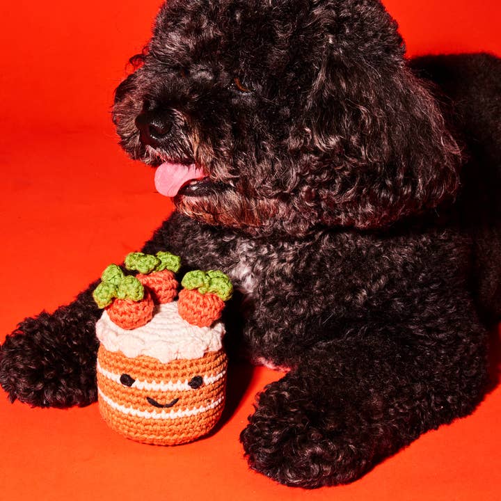 Ware of the Dog - Wholesale Pet Squeaky Toy - Dog - Cotton Crochet Carrot Cake Dog Toy1