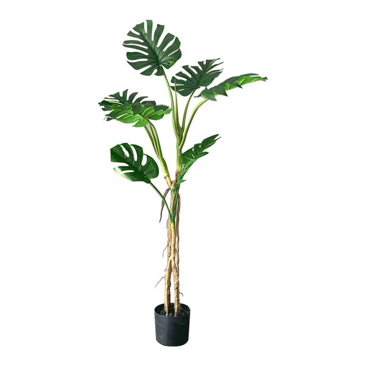 SOGA International Pty Ltd - Wholesale Artificial plant - SOGA 160cm Tropical Monstera Palm Artificial Plant Tree