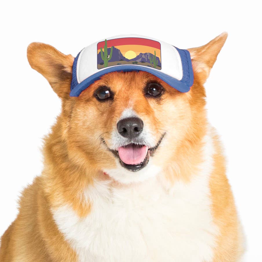 PupLid - Wholesale Pet Hat - Dog - Desert Owl Standard or Namedrop | Trucker Hat for Dogs16