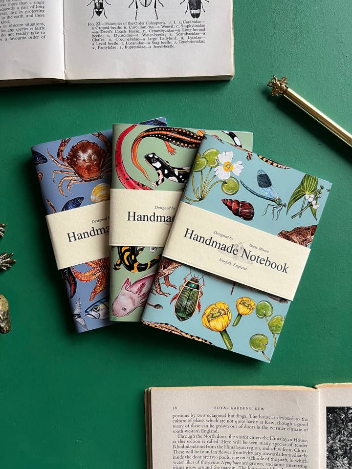 Wildlife Pocket Notebook Set for wholesale by Tansy Moore