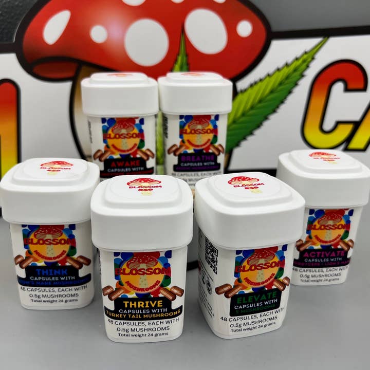Mushroom Blend Capsules: Elevate by Blossom Capsules for wholesale by Blossom Capsules