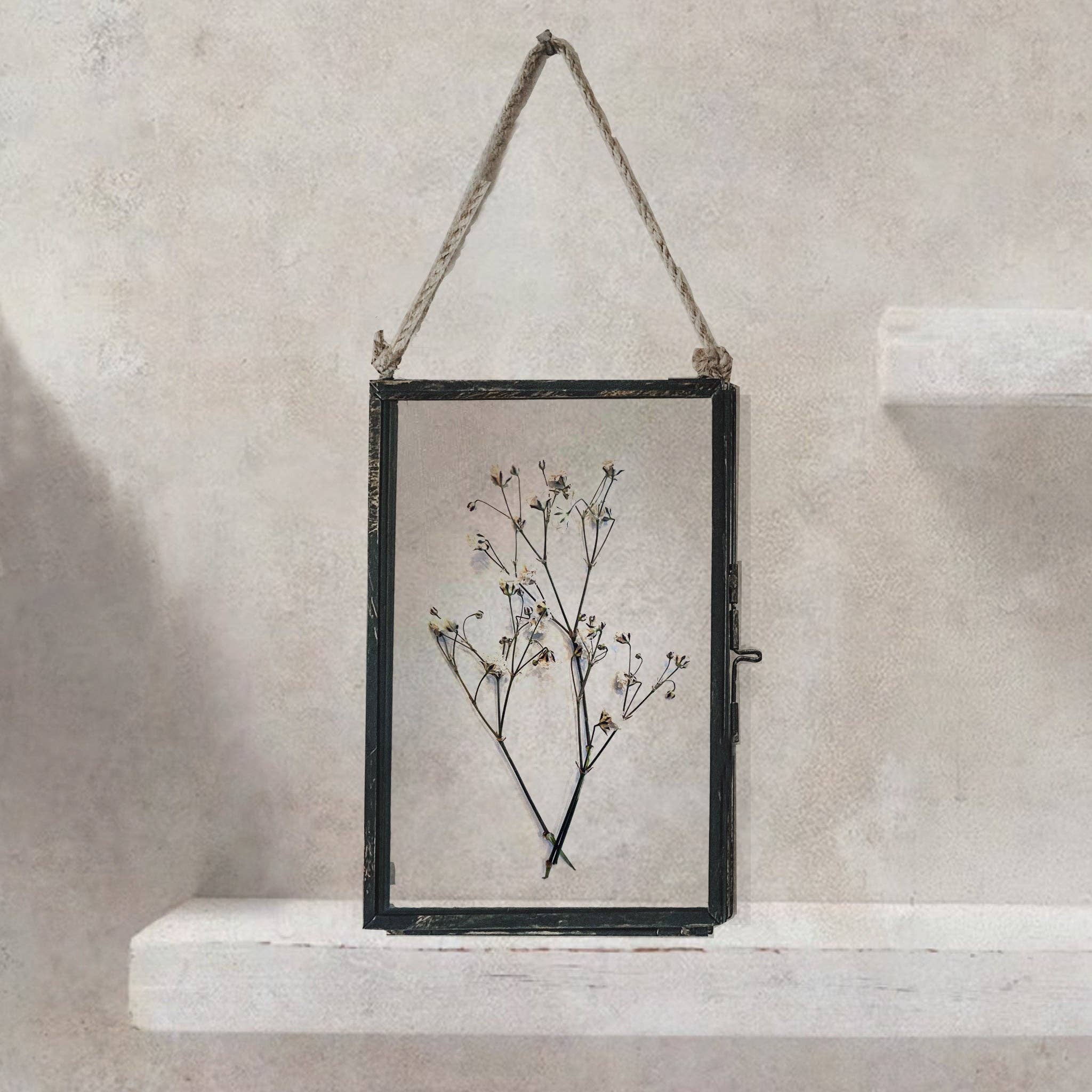 Coultura - Wholesale Dried/Pressed Flowers - Black Antique Pressed Flower Frame: Dried Baby's Breath - Small