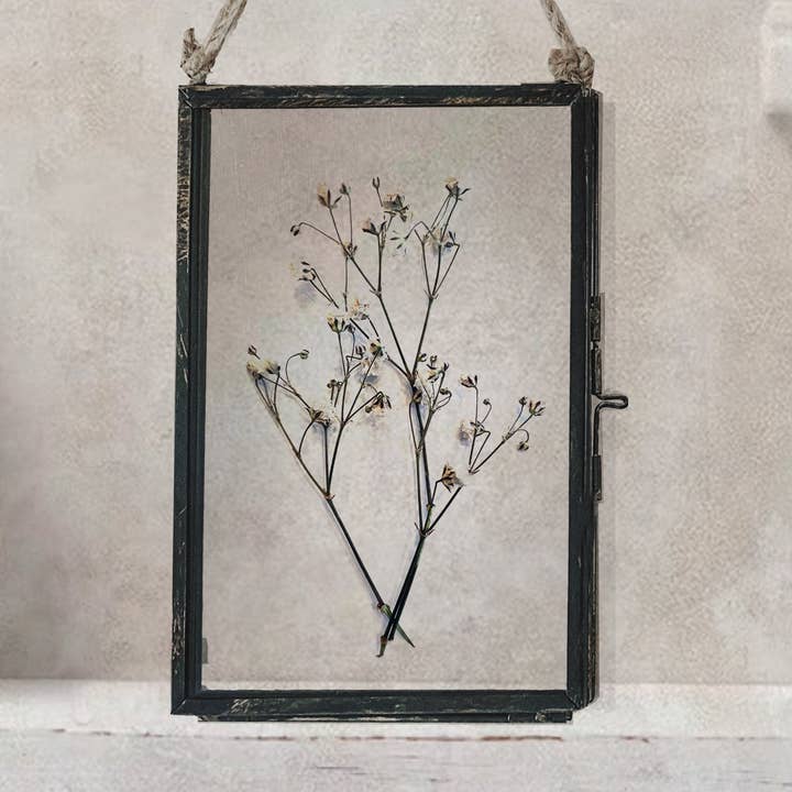 Coultura - Wholesale Dried/Pressed Flowers - Black Antique Pressed Flower Frame: Dried Baby's Breath - Small0