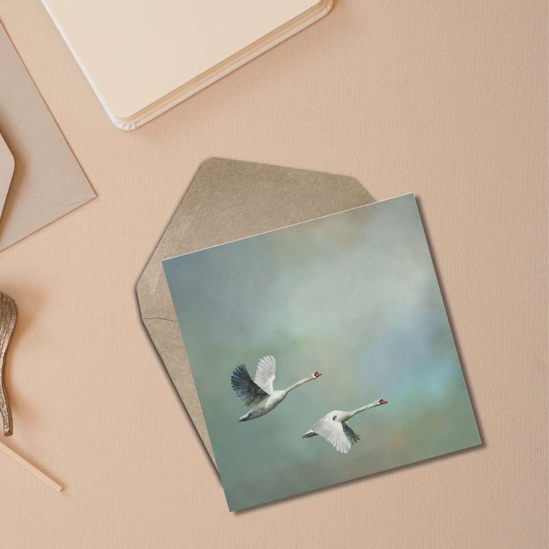 Portrait of Clouds - Wholesale Everyday Greeting Card - Swan Greetings Card - Luxury Textured Cardstock4